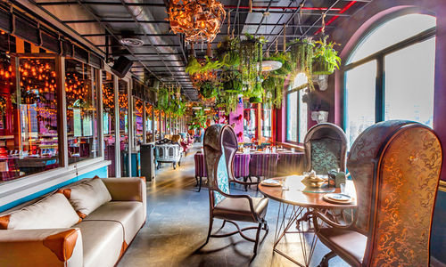 Plum By Bent Chair, Lower Parel, Mumbai - nearbuy.com